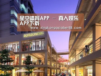 案例展示一