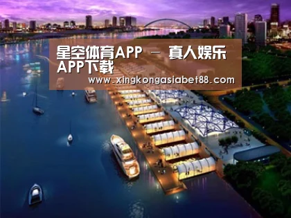 案例展示八
