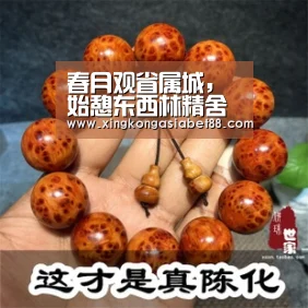 星空赛事
