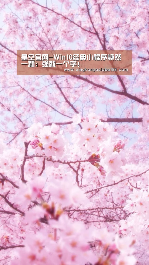 星空官网-Win10经典小程序焕然一新:强就一个字!(图2) 星空APP
